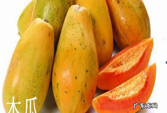 木瓜可以随身携带上飞机,乘飞机可以带木瓜