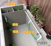 龟缸滤材怎么用,养龟苗用什么过滤器