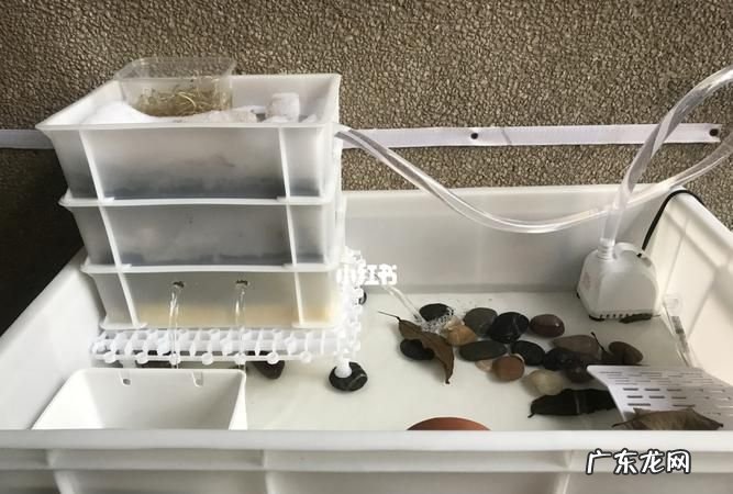 龟缸滤材怎么用,养龟苗用什么过滤器