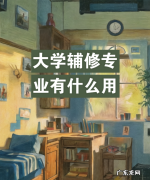 大学辅修有必要吗？,大学辅修专业有必要