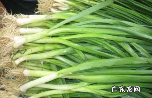蒜黄是什么季节吃的,市场买来的蒜苗为什么是黄色的