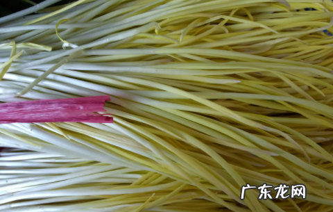 蒜黄是什么季节吃的,市场买来的蒜苗为什么是黄色的