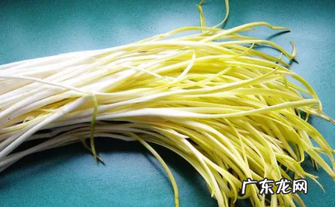 蒜黄是什么季节吃的,市场买来的蒜苗为什么是黄色的