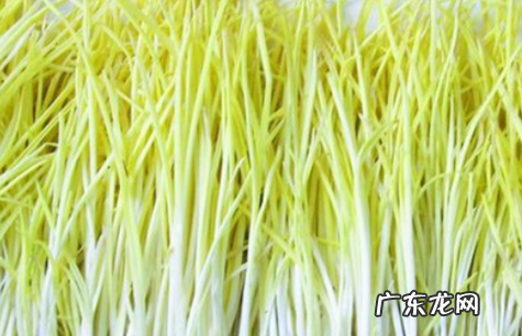 蒜黄是什么季节吃的,市场买来的蒜苗为什么是黄色的