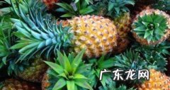 吃不完的凤梨如何保存,凤梨的保存方法和保质期