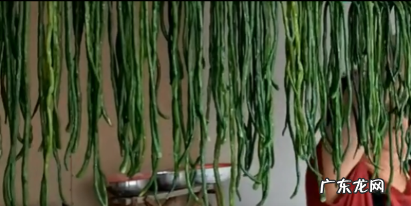 怎么做干豆角,干豆角的做法