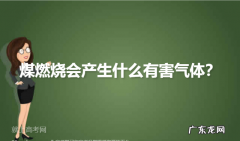 煤燃烧产生什么气体,煤炭燃烧会产生什么有害气体