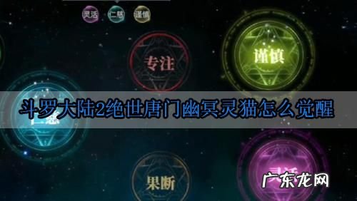 斗罗大陆怎么解锁灵猫,斗罗大陆如何获得幽冥灵猫武魂