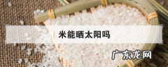 米能晒太阳,米能晒太阳