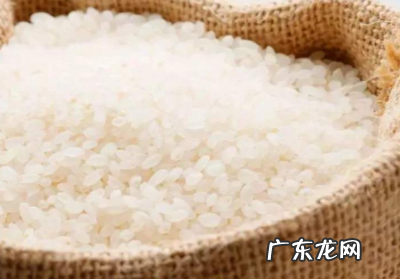 米能晒太阳,米能晒太阳