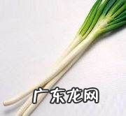 香菇肉酱的做法,怎样做香菇肉酱好吃