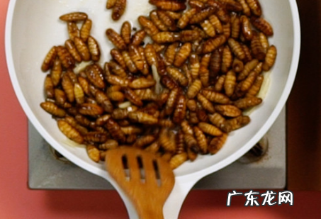 炒蚕蛹怎么做,家常炒蛹的做法