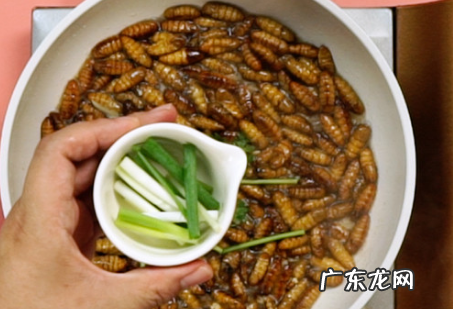 炒蚕蛹怎么做,家常炒蛹的做法
