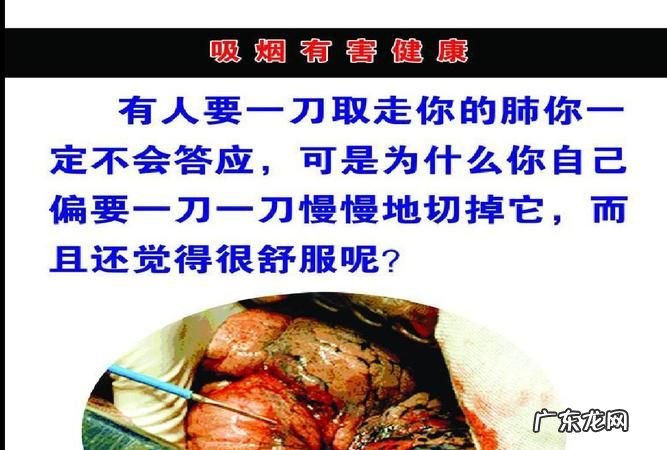 烟盒为什么写吸烟有害健康,烟盒为啥写吸烟有害健康