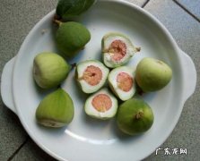 薛荔果的功效与作用,薜荔果对身体有什么功效和作用