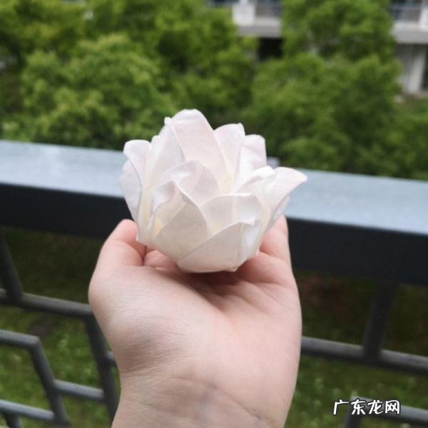卫生纸纸花怎么做,怎么用卫生纸做花简单过程