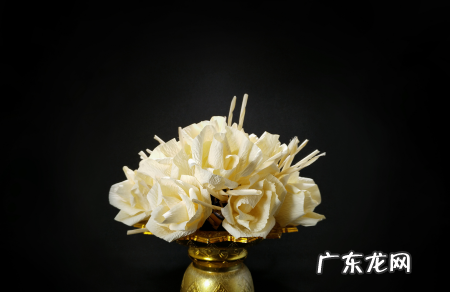 卫生纸纸花怎么做,怎么用卫生纸做花简单过程