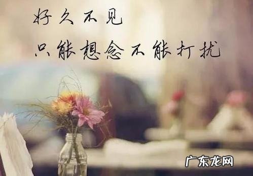 搅扰怎么读什么意思,扰怎么读拼音