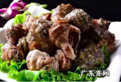 海螺煮多久能熟透,大海螺煮多长时间熟