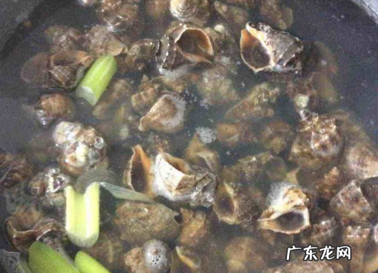 海螺煮多久能熟透,大海螺煮多长时间熟