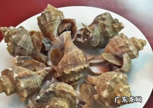 海螺煮多久能熟透,大海螺煮多长时间熟