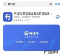 有钱花没有额度怎么回事,为什么百度有钱花以前有额度现在没有