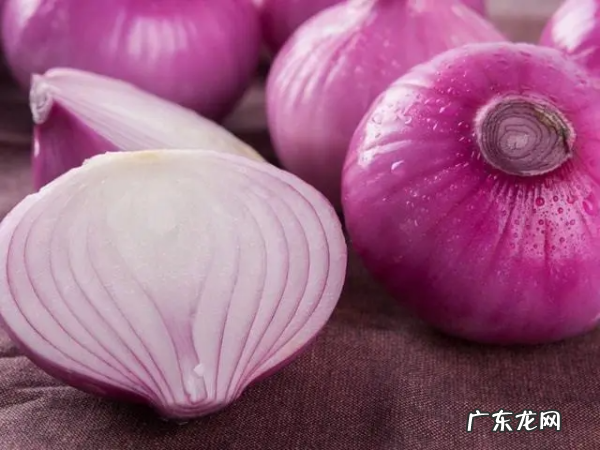 洋葱的热量是多少,白洋葱和紫洋葱的热量