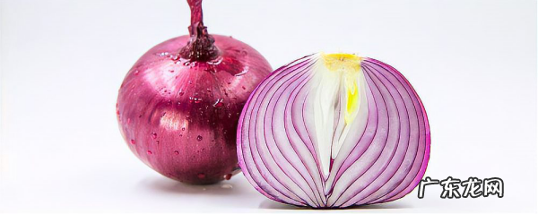 洋葱的热量是多少,白洋葱和紫洋葱的热量