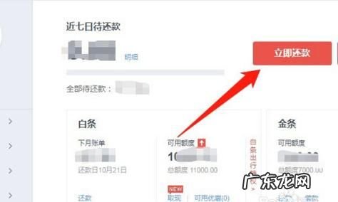 京东白条最低还款什么意思,京东白条可以最低还款利息高