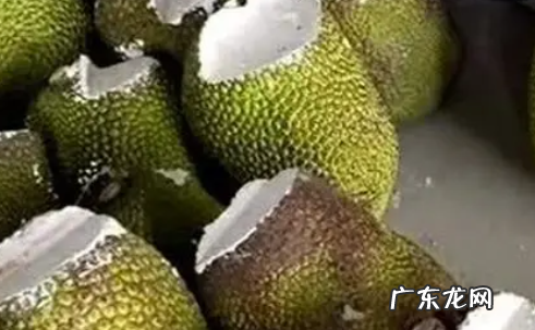 为什么菠萝蜜后面有石灰,为什么菠萝蜜上面都有个口