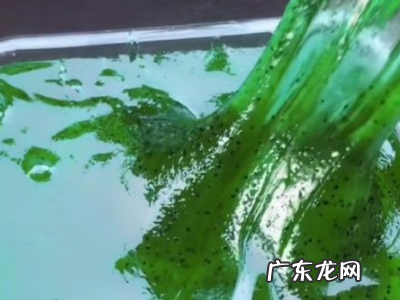 不用成型水和胶水做起泡胶,无胶水起泡胶教程不用粘土做