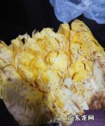 菠萝蜜粘液是什么,菠萝蜜白色液体是什么东西