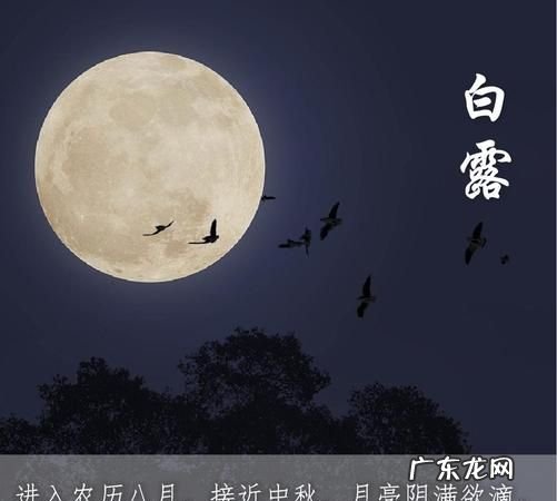 露从今夜白月是故乡明意思,露从今夜白月是故乡明这句话是什么意思