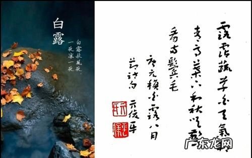 露从今夜白月是故乡明意思,露从今夜白月是故乡明这句话是什么意思