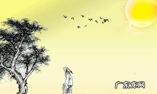 露从今夜白月是故乡明意思,露从今夜白月是故乡明这句话是什么意思
