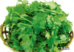 芫荽是香菜,芫荽和香菜的区别拼音