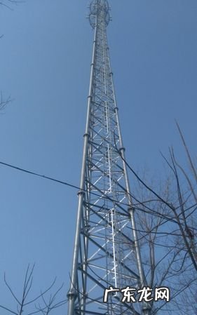 距信号塔20米有辐射,我家住楼下暗示什么