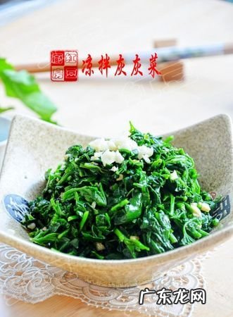 灰灰草怎么做好吃,红叶灰灰菜的功效和吃法
