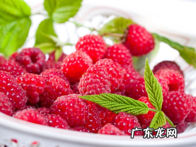 覆盆子和桑葚一样,覆盆子是桑葚子