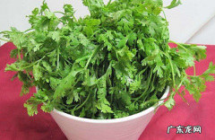 荔枝干属于发物,什么食物是温性食物有哪些