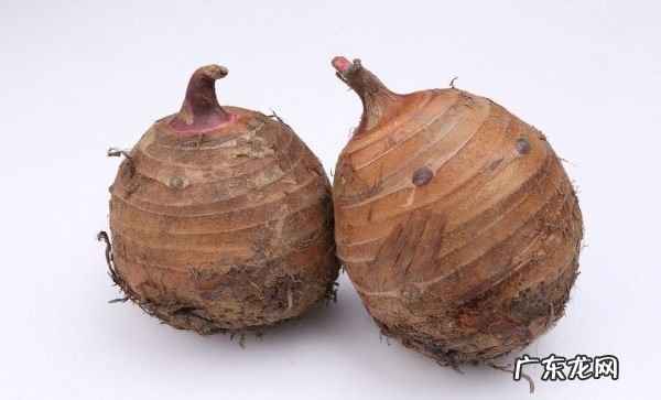 芋头热量高,吃芋头会胖芋头的热量高