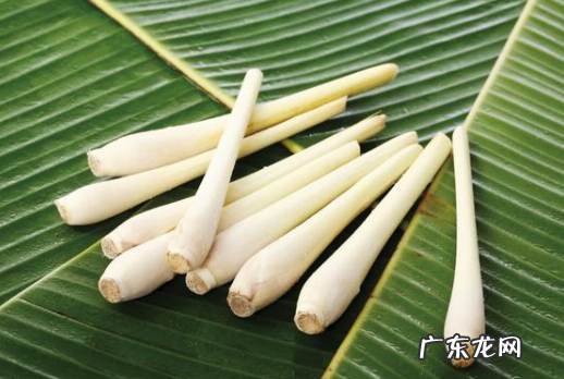 茭白为什么有黑点,茭白里面黑色的点是什么