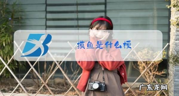 摸鱼梗是什么意思,摸鱼仔到底是什么意思