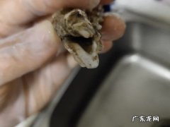 生蚝怎么开又快又完整,如何快速开生蚝