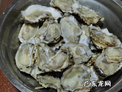 生蚝怎么开又快又完整,如何快速开生蚝