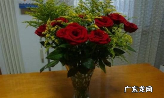 玫瑰靠水可以养多久,玫瑰在花瓶里能养几天
