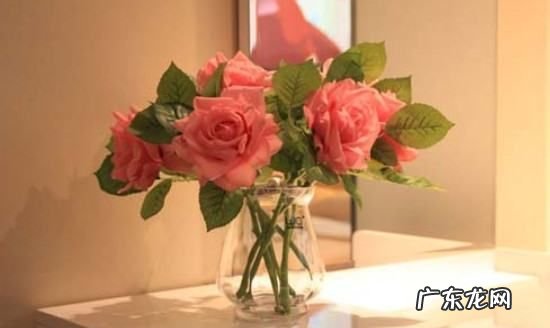 玫瑰靠水可以养多久,玫瑰在花瓶里能养几天