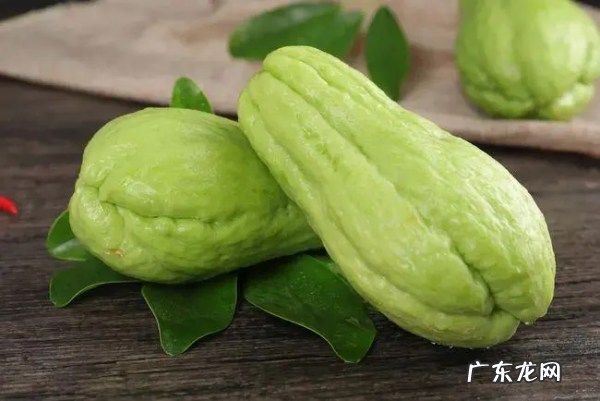 佛手瓜含嘌呤高,佛手瓜为什么不能吃