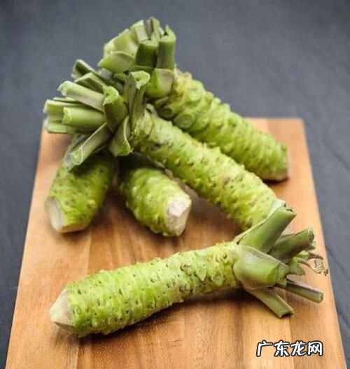 芥末的功能与作用,吃芥末有什么作用与功效