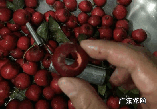 蒸罐头蒸多长时间,自制山楂罐头蒸多长时间最好